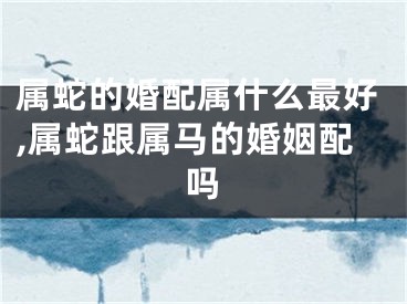 属蛇的婚配属什么最好,属蛇跟属马的婚姻配吗