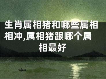 生肖属相猪和哪些属相相冲,属相猪跟哪个属相最好
