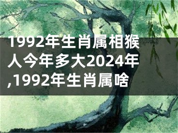 1992年生肖属相猴人今年多大2024年,1992年生肖属啥