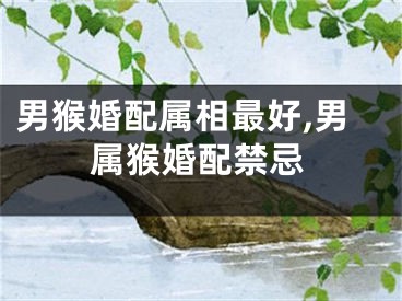 男猴婚配属相最好,男属猴婚配禁忌