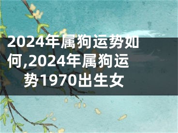 2024年属狗运势如何,2024年属狗运势1970出生女