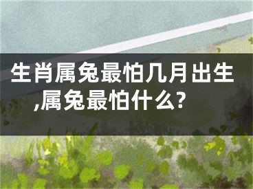 生肖属兔最怕几月出生,属兔最怕什么?