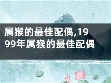 属猴的最佳配偶,1999年属猴的最佳配偶