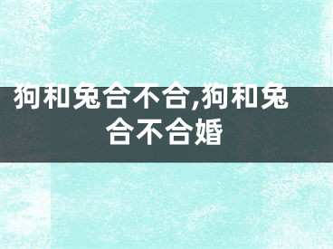 狗和兔合不合,狗和兔合不合婚