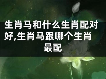 生肖马和什么生肖配对好,生肖马跟哪个生肖最配
