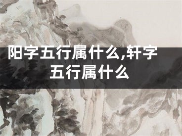 阳字五行属什么,轩字五行属什么
