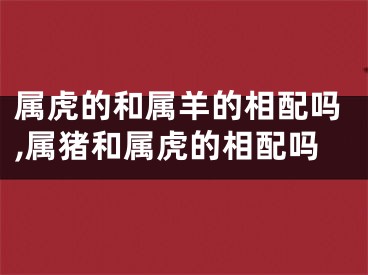 属虎的和属羊的相配吗,属猪和属虎的相配吗