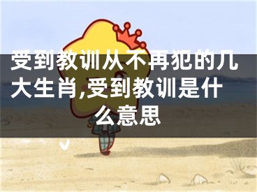 受到教训从不再犯的几大生肖,受到教训是什么意思