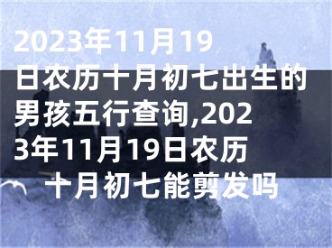2023年11月19日农历十月初七出生的男孩五行查询,2023年11月19日农历十月初七能剪发吗