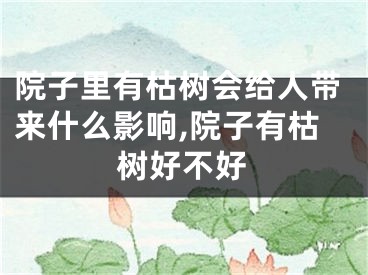院子里有枯树会给人带来什么影响,院子有枯树好不好