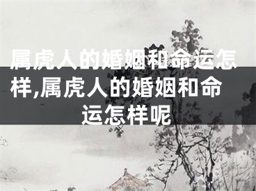 属虎人的婚姻和命运怎样,属虎人的婚姻和命运怎样呢
