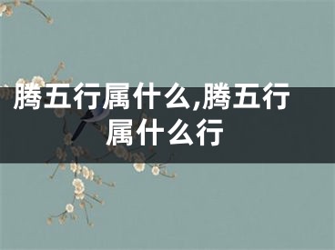 腾五行属什么,腾五行属什么行