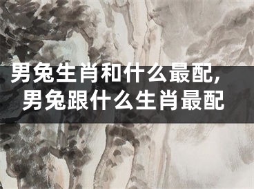 男兔生肖和什么最配,男兔跟什么生肖最配