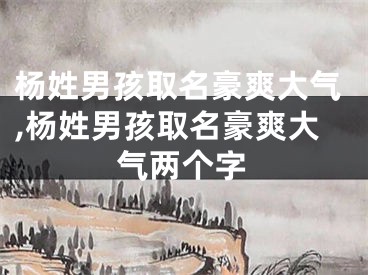 杨姓男孩取名豪爽大气,杨姓男孩取名豪爽大气两个字