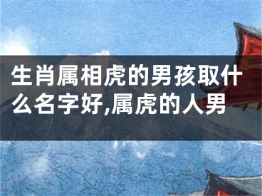 生肖属相虎的男孩取什么名字好,属虎的人男