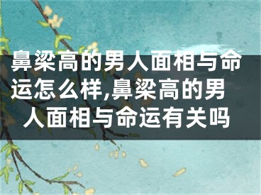 鼻梁高的男人面相与命运怎么样,鼻梁高的男人面相与命运有关吗