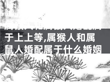 属猴人和属鼠人婚配属于上上等,属猴人和属鼠人婚配属于什么婚姻