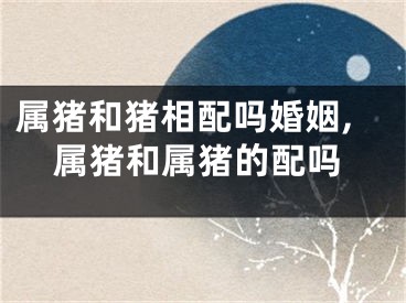 属猪和猪相配吗婚姻,属猪和属猪的配吗