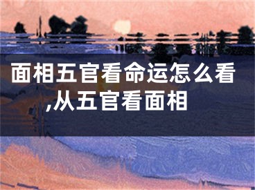 面相五官看命运怎么看,从五官看面相