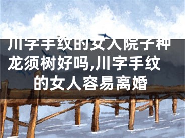 川字手纹的女人院子种龙须树好吗,川字手纹的女人容易离婚