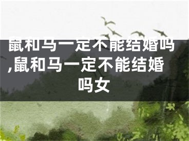 鼠和马一定不能结婚吗,鼠和马一定不能结婚吗女