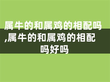属牛的和属鸡的相配吗,属牛的和属鸡的相配吗好吗