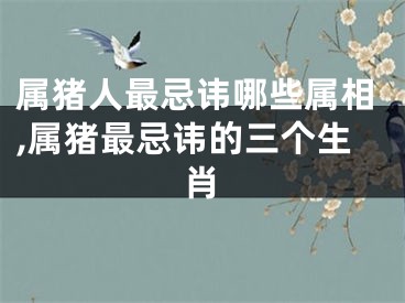属猪人最忌讳哪些属相,属猪最忌讳的三个生肖