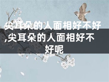 尖耳朵的人面相好不好,尖耳朵的人面相好不好呢