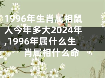 1996年生肖属相鼠人今年多大2024年,1996年属什么生肖属相什么命