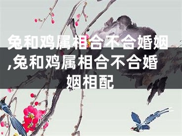 兔和鸡属相合不合婚姻,兔和鸡属相合不合婚姻相配