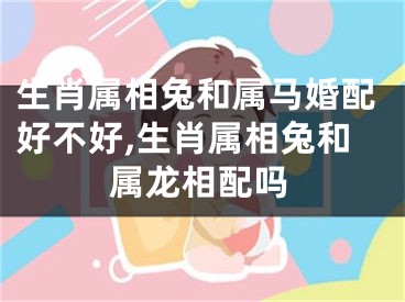 生肖属相兔和属马婚配好不好,生肖属相兔和属龙相配吗