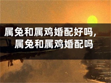 属兔和属鸡婚配好吗,属兔和属鸡婚配吗