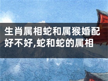 生肖属相蛇和属猴婚配好不好,蛇和蛇的属相