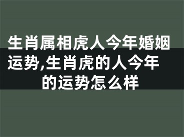 生肖属相虎人今年婚姻运势,生肖虎的人今年的运势怎么样