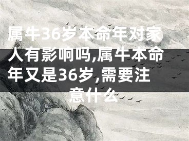 属牛36岁本命年对家人有影响吗,属牛本命年又是36岁,需要注意什么