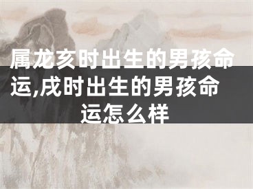 属龙亥时出生的男孩命运,戌时出生的男孩命运怎么样