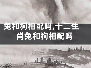 兔和狗相配吗,十二生肖兔和狗相配吗