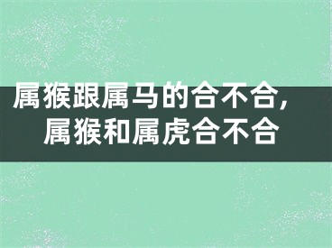 属猴跟属马的合不合,属猴和属虎合不合