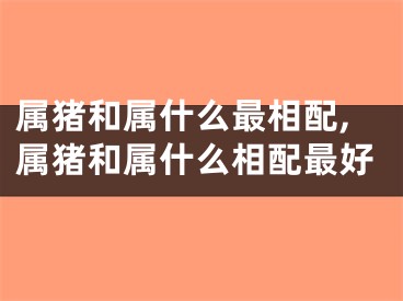 属猪和属什么最相配,属猪和属什么相配最好