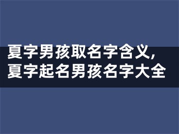 夏字男孩取名字含义,夏字起名男孩名字大全