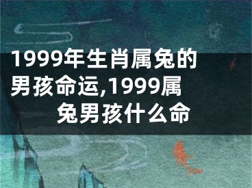 1999年生肖属兔的男孩命运,1999属兔男孩什么命