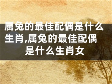 属兔的最佳配偶是什么生肖,属兔的最佳配偶是什么生肖女