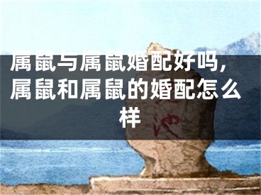 属鼠与属鼠婚配好吗,属鼠和属鼠的婚配怎么样