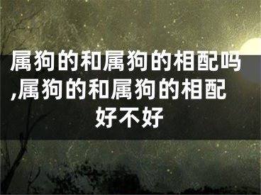 属狗的和属狗的相配吗,属狗的和属狗的相配好不好