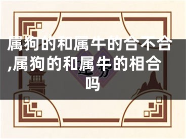 属狗的和属牛的合不合,属狗的和属牛的相合吗
