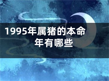 1995年属猪的本命年有哪些