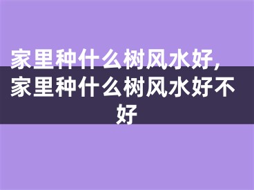 家里种什么树风水好,家里种什么树风水好不好