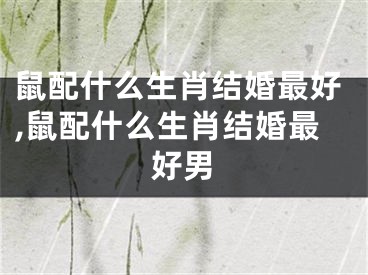 鼠配什么生肖结婚最好,鼠配什么生肖结婚最好男