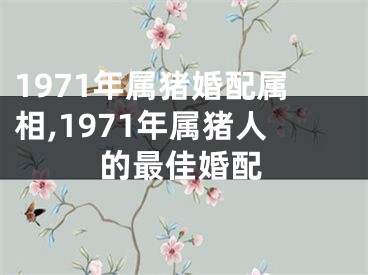 1971年属猪婚配属相,1971年属猪人的最佳婚配