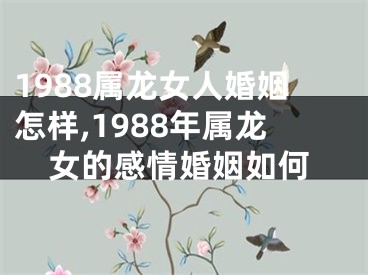1988属龙女人婚姻怎样,1988年属龙女的感情婚姻如何